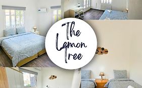 The Lemon Tree Hostel